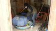 20130118_153328-Welpenkurs.jpg