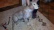 20130204_192932_Dreckspatz.jpg